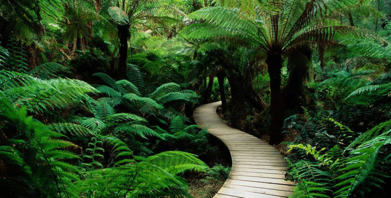 Guided meditation you can do at home hero