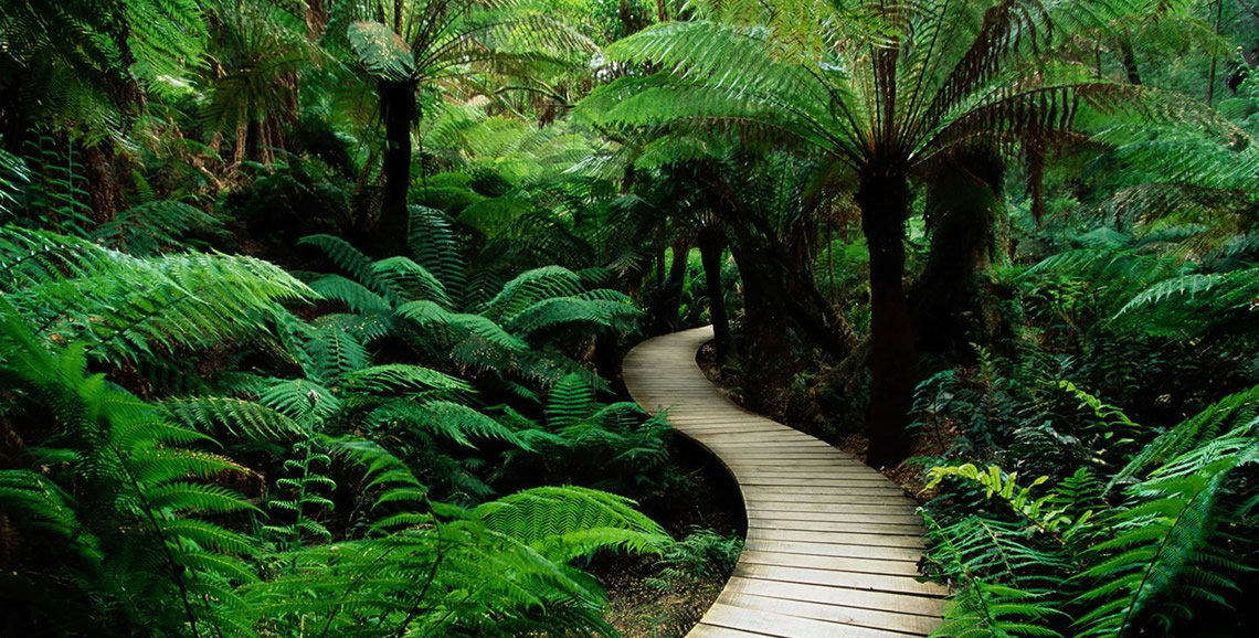 Guided meditation you can do at home hero